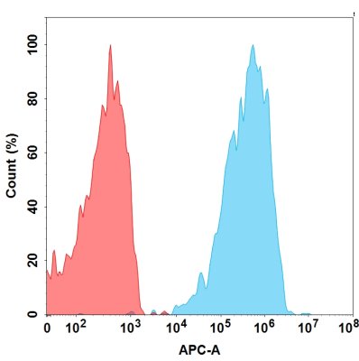 CXCR4 Antibody