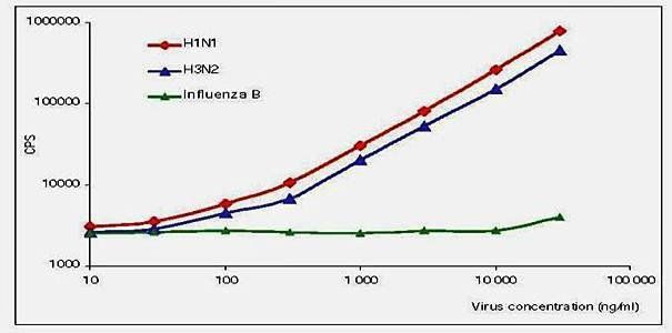 Influenza A (Nucleoprotein) Antibody