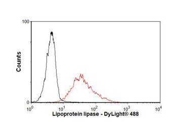 Lipoprotein Lipase Monoclonal Antibody