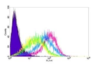 CD44 Monoclonal Antibody
