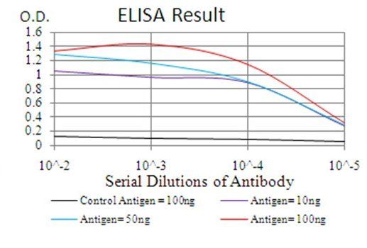 IRAK3 Antibody