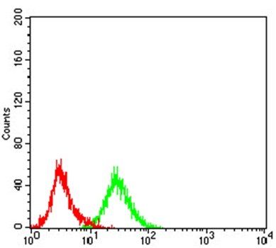 IRAK3 Antibody