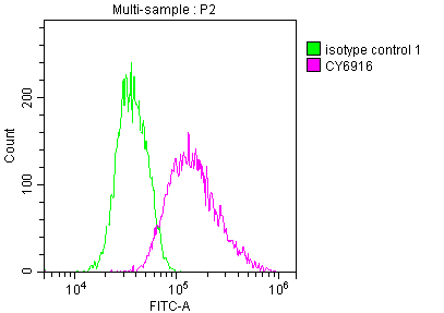 IRAK4 Recombinant Monoclonal Antibody