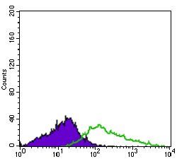 ITGA2B Antibody