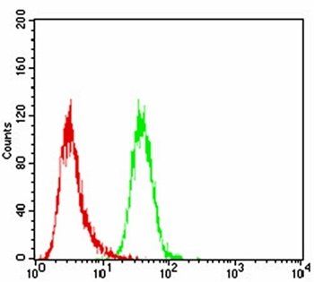 JAK2 Antibody