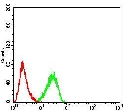 KDM1A Antibody