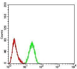 KDM1A Antibody