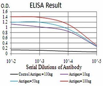 KDM5B Antibody