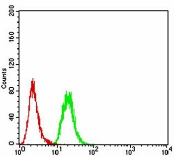 KDM5B Antibody