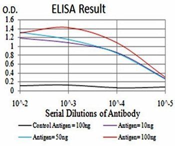 KDM6A Antibody