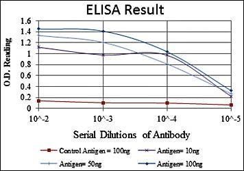 KRT19 Antibody
