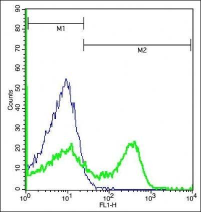 Phospho-LCK (Tyr394) Rabbit Polyclonal Antibody