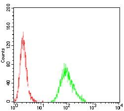 LDLR Antibody