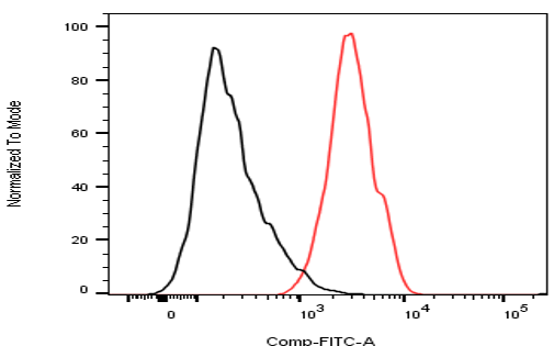 Anti-LIR1 antibody