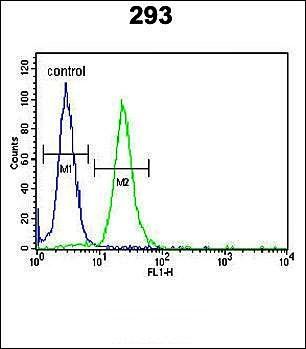 LMBR1L antibody