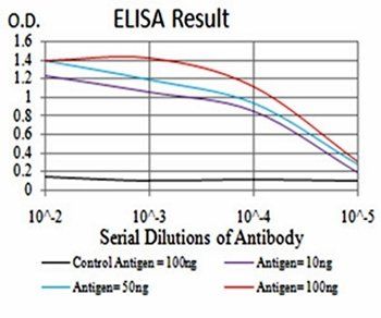 LRP1 Antibody