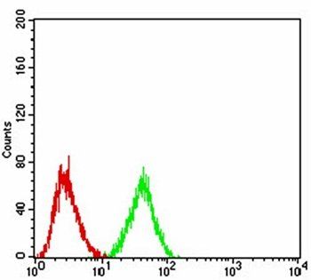 LRP1 Antibody