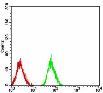 LRP1 Antibody