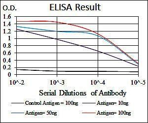 LRP5 Antibody