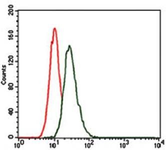 LRP5 Antibody