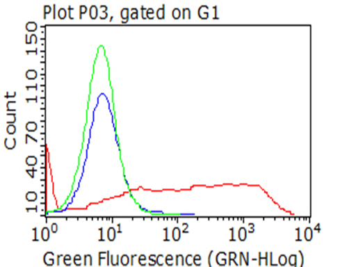 LAG3 Antibody