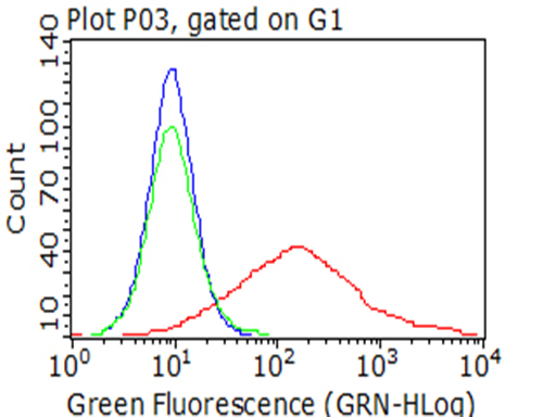 LAG3 Antibody
