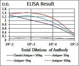MAP1LC3B Antibody