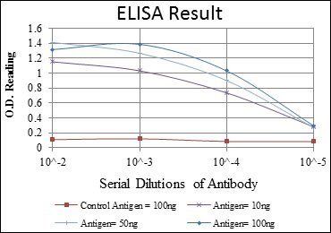 MAP2K4 Antibody