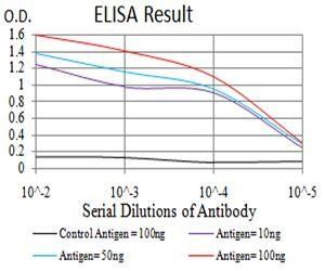 MAPK10 Antibody