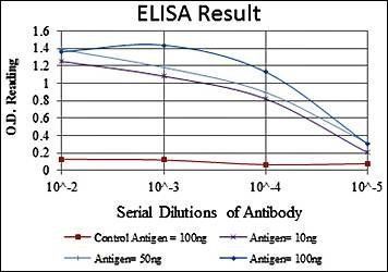 MAPK3 Antibody