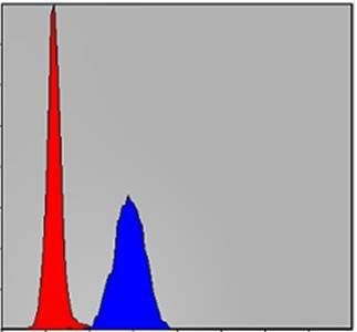 MAPK3 Antibody