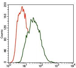 MARK3 Antibody