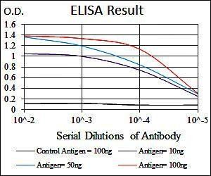 MBP Antibody