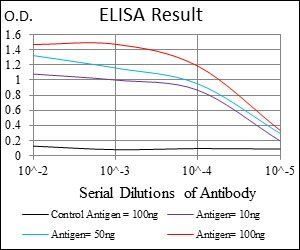 MCAM Antibody