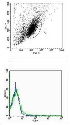 CCL12 Rabbit Polyclonal Antibody