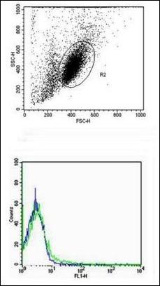 MCP5 antibody