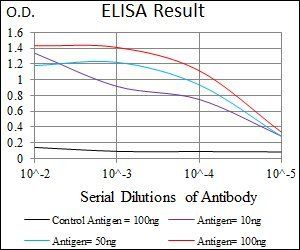 MEF2C Antibody