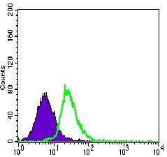 MEF2C Antibody