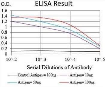 MMEL1 Antibody