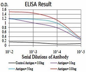 MMP14 Antibody