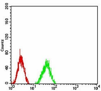 MMP14 Antibody