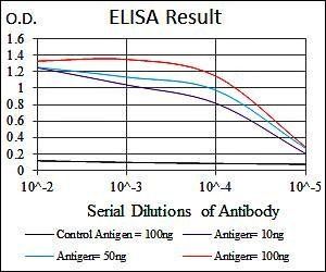 MMP3 Antibody