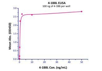 Cynomolgus / Rhesus macaque 4-1BB Protein, His Tag