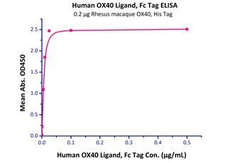 Cynomolgus / Rhesus macaque OX40 Protein, His Tag
