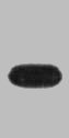 mOrange Monoclonal Antibody