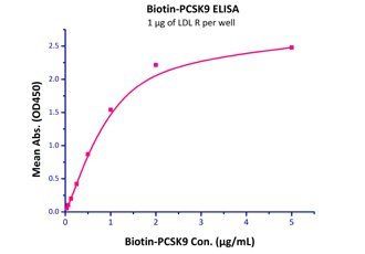 Mouse LDL R Protein, His Tag