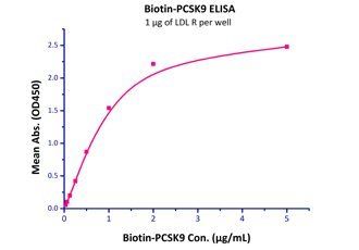 Mouse LDL R Protein