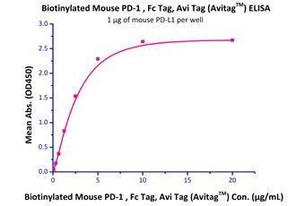 Mouse PD-L1 / B7-H1 Protein