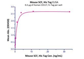 Mouse SCF / KITLG Protein