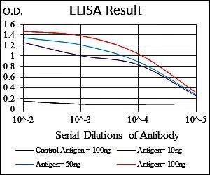 MSH6 Antibody